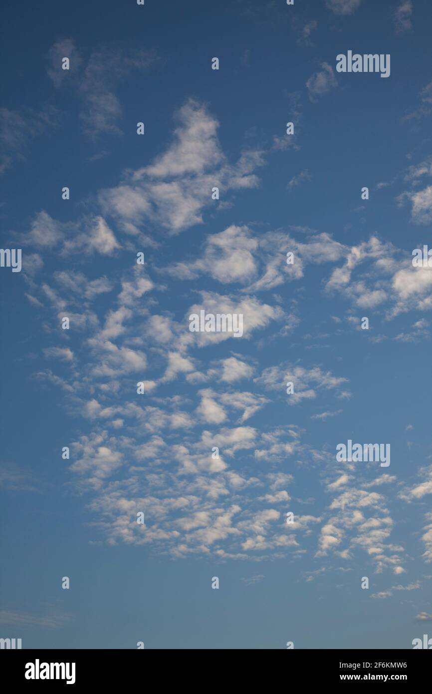 Altocumulus clouds against a blue sky Stock Photo