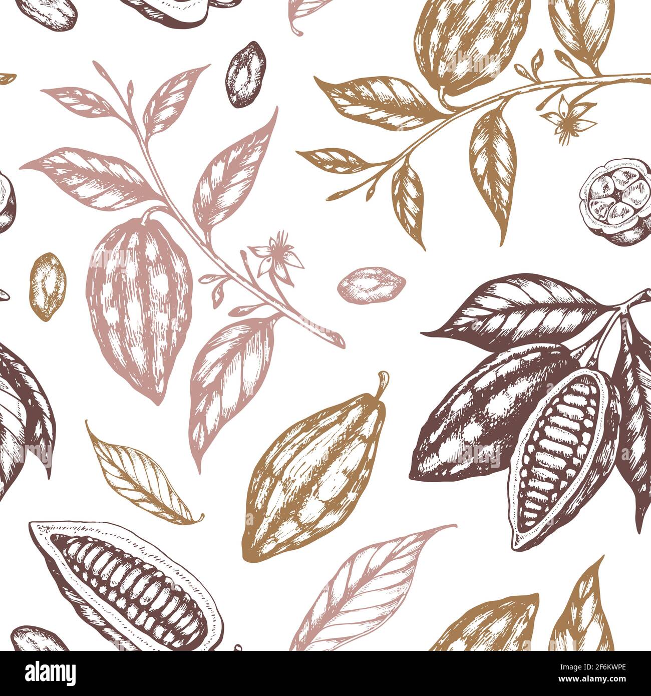 Vintage hand drawn seamless pattern with cocoa beans and cocoa plants ...