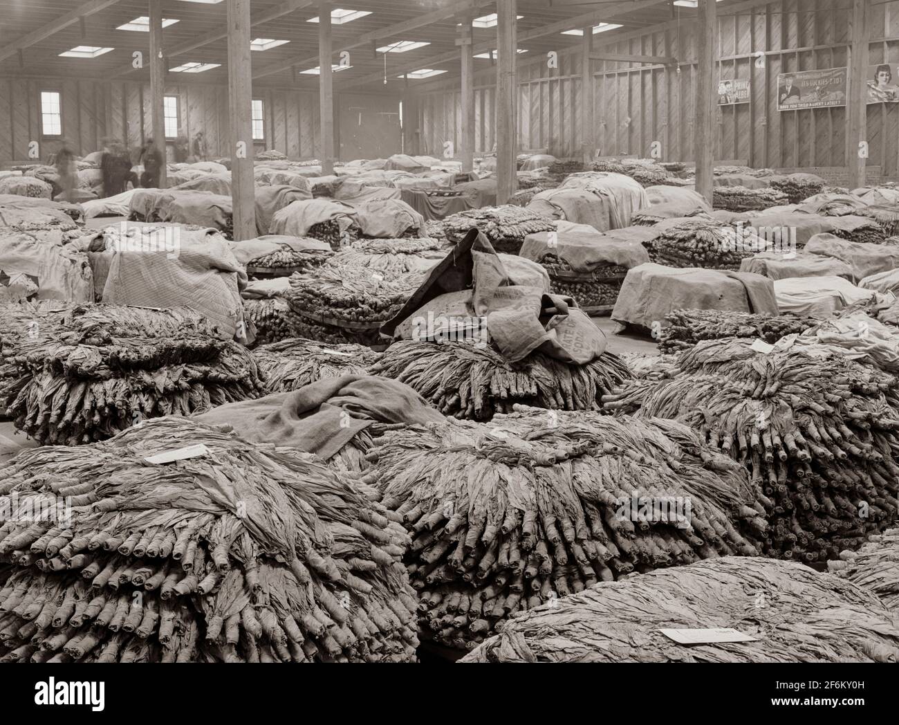 how were tobacco baskets used Baskets of tobacco piled on top of each other after being sold at auction.  Here they are picked up by the trucks which haul them to the cigarette  factories. This is in