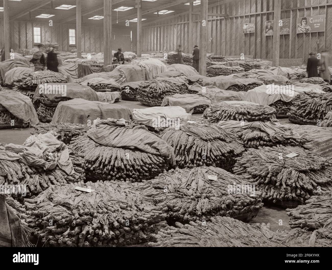 Baskets of tobacco on warehouse floor before auction sale. Durham
