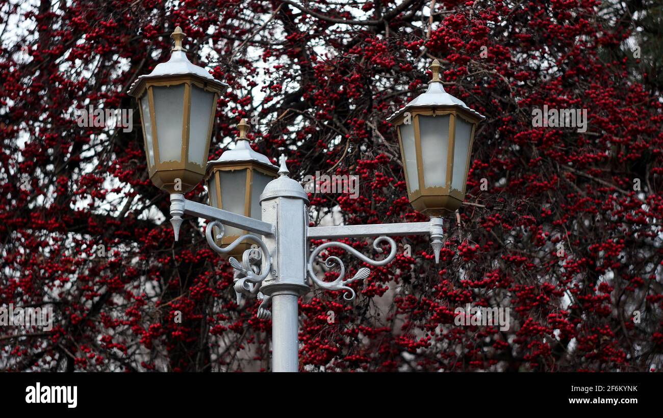 Vintage street lights hi-res stock photography and images - Alamy