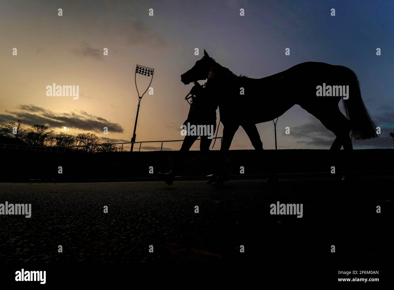 A silhouette of a horse at Chelmsford City Racecourse. Picture date: Thursday April 1, 2021. Stock Photo