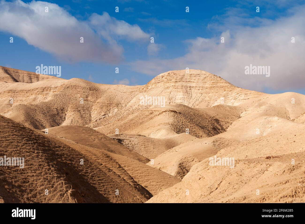 Israel, Negev desert, arid desert landscape Stock Photo