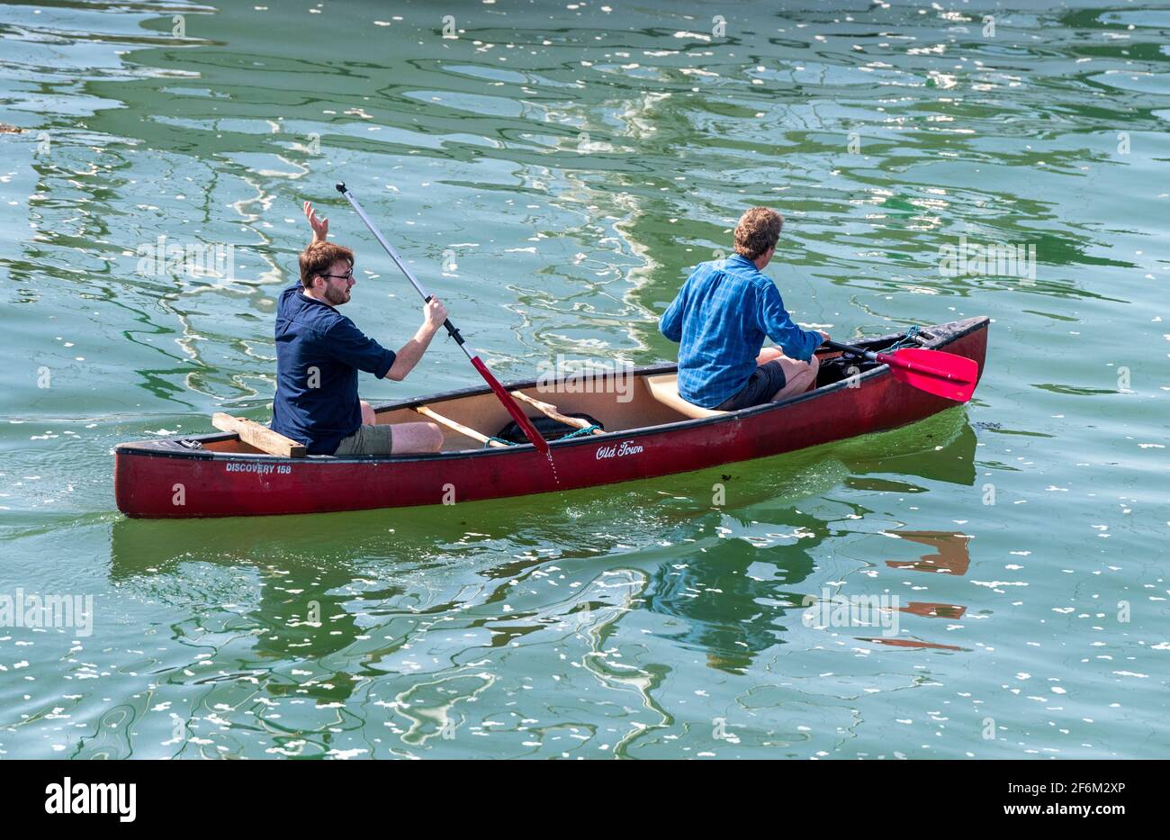 Two men rowing in a kayak hi-res stock photography and images - Alamy