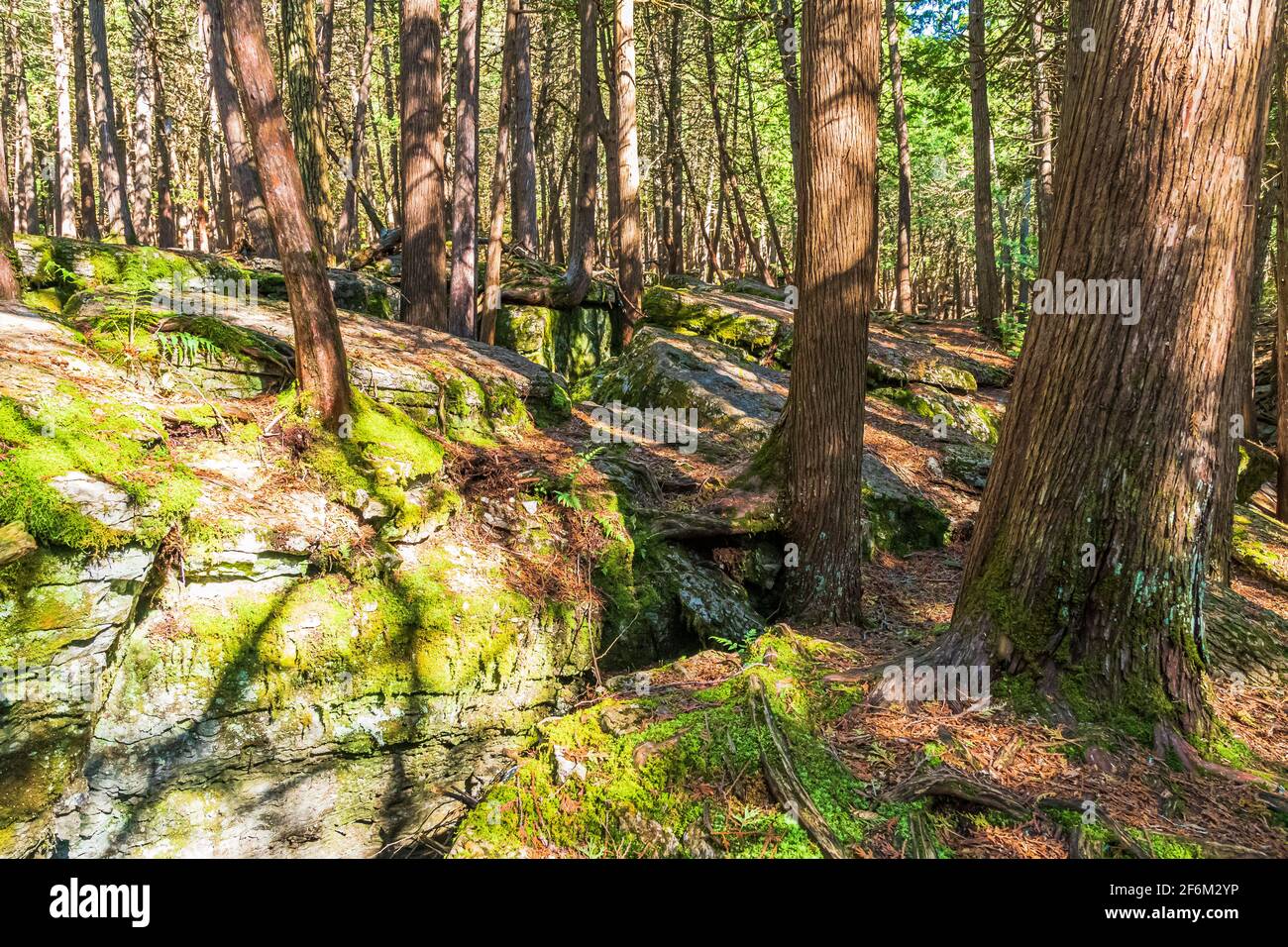 Warsaw Caves Conservation area Dwight Ontario Canada in summer Stock