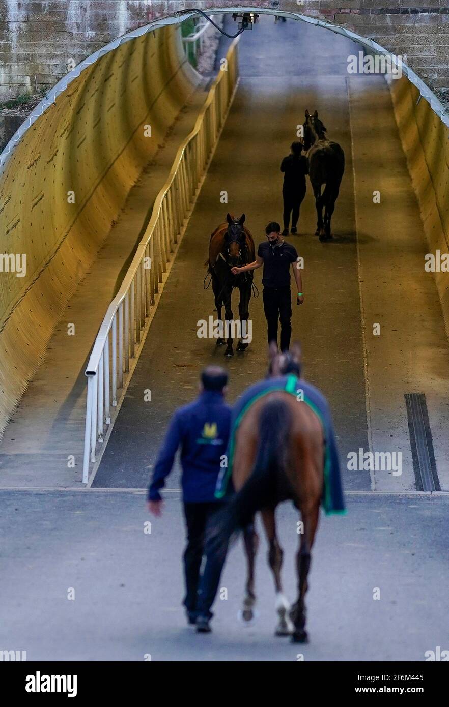 A general view as runners make their way to and from the stables via the tunnel under the track at Chelmsford City Racecourse. Picture date: Thursday April 1, 2021. Stock Photo