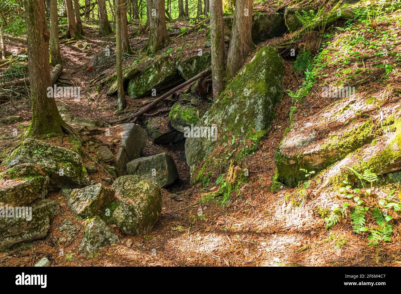 Warsaw Caves Conservation area Dwight Ontario Canada in summer Stock ...