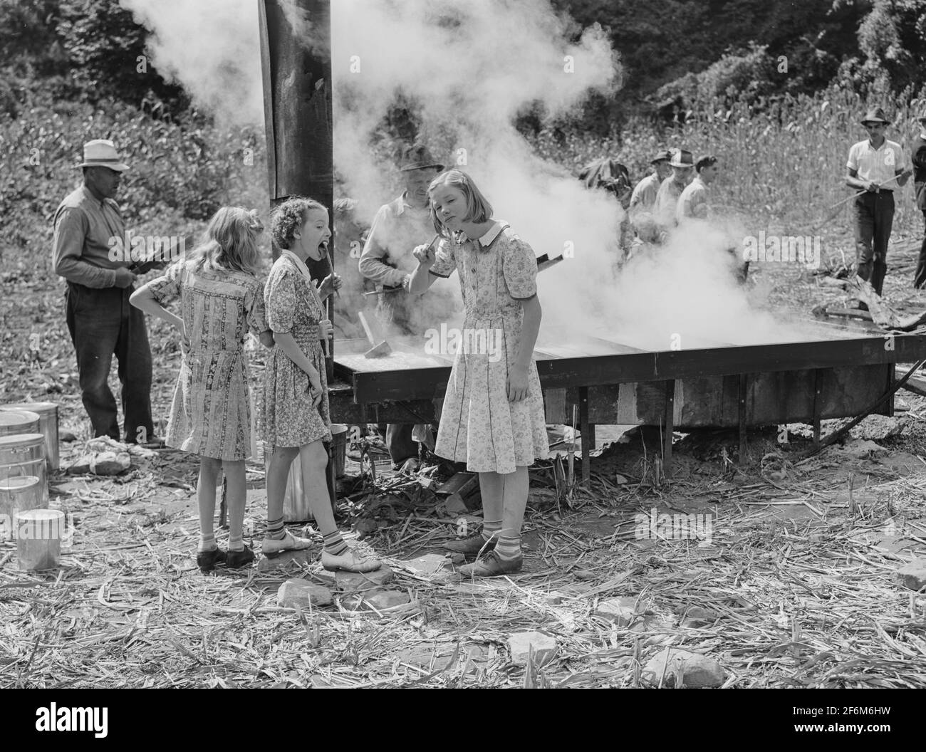 In the early fall during 'syrupping off' time many of the children stay home from school to eat the freshly boiled down sorghum cane syrup. The cook usually goes to the various farms in the neighborhood and for his work takes a share of the syrup. On the highway between Jackson and Campton, Kentucky. 1940. Stock Photo