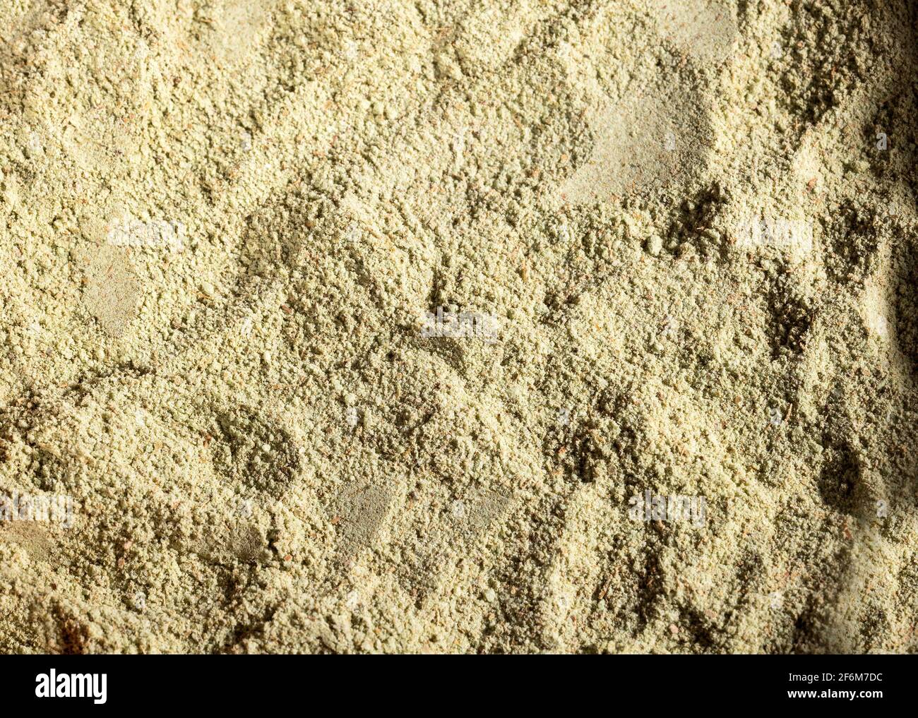 Organic ground Laurel Laurus nobilis Stock Photo Alamy