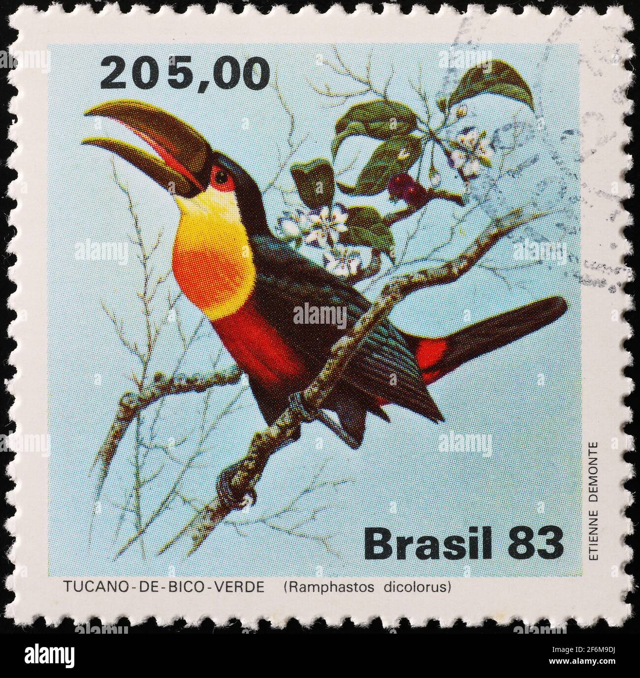 Green-billed toucan on brazilian postage stamp Stock Photo