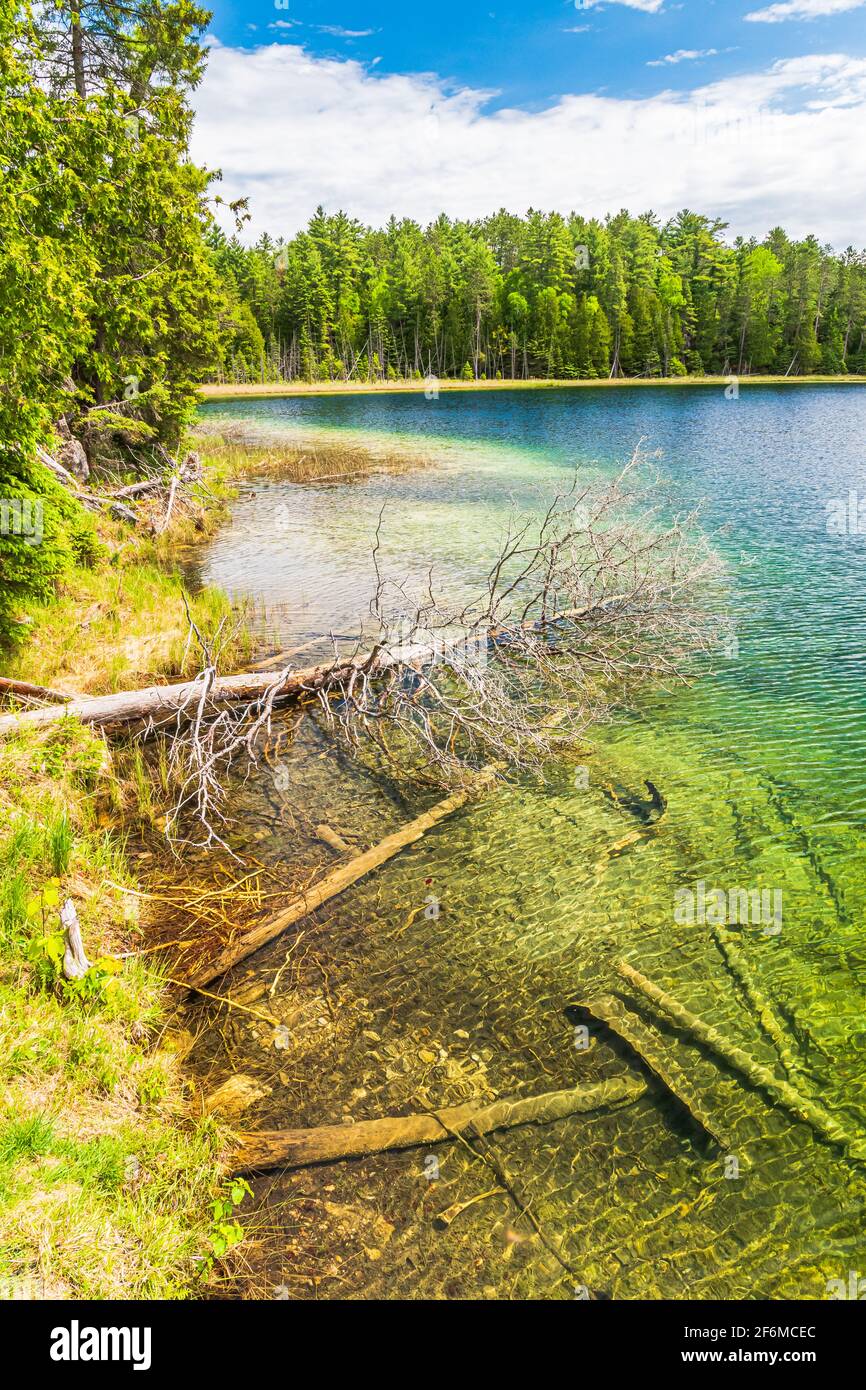 Lake McGinnis Petroglyphs Conservation Area Ontario Canada in summer Stock Photo