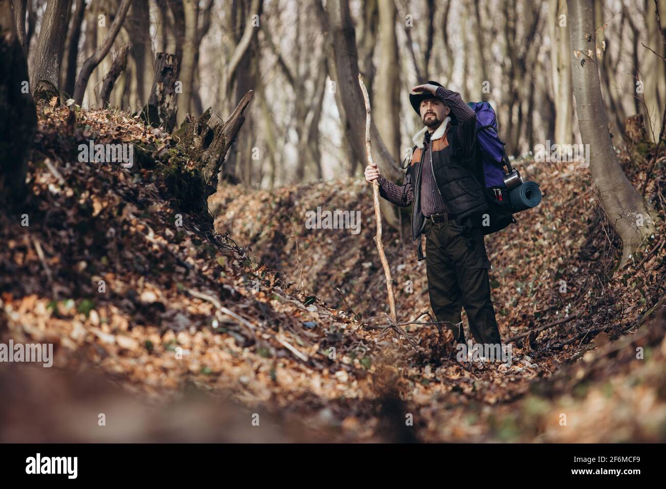 Bearded man traveler hiking hi-res stock photography and images - Alamy