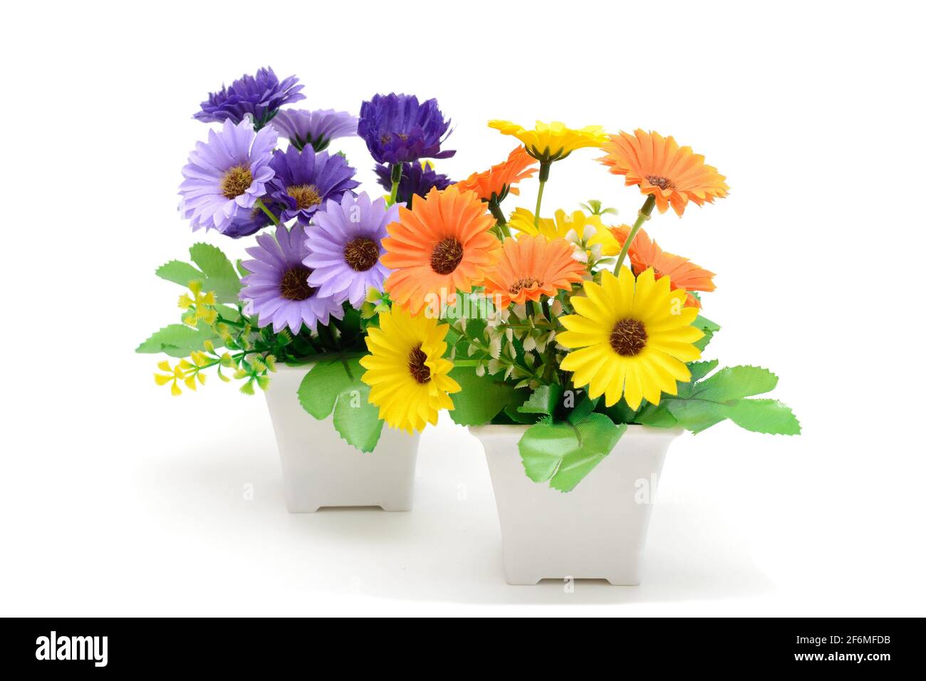 Household flowers in pots. Gerbera mix plant. Piece of interior
