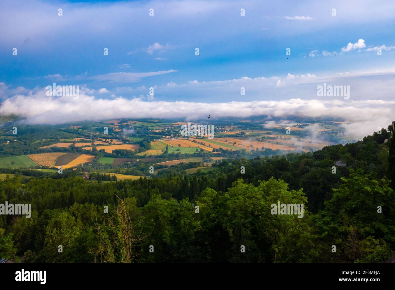 View of the hills surrounding the town of Todi, Terni, Italy, with woods, fields, orchards and agricultural buildings Stock Photo