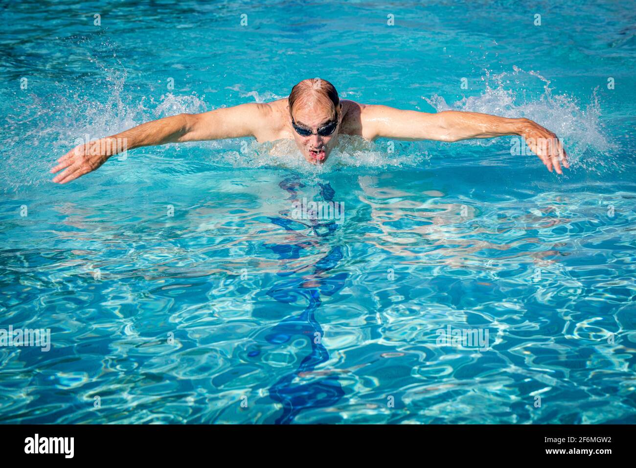 Older man swimming laps using the Butterfly Stroke in a lap pool, Naples, Florida, USA Stock Photo