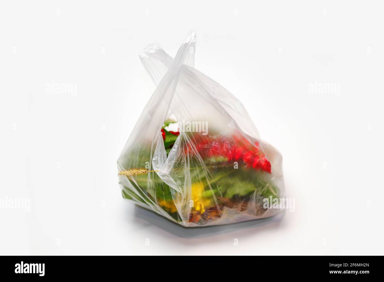 DEFOCUS. Plastic plant. Red and green plants flowers in a plastic bag on a white background. A dry blade of grass sticks out. Ecological problems. Out Stock Photo