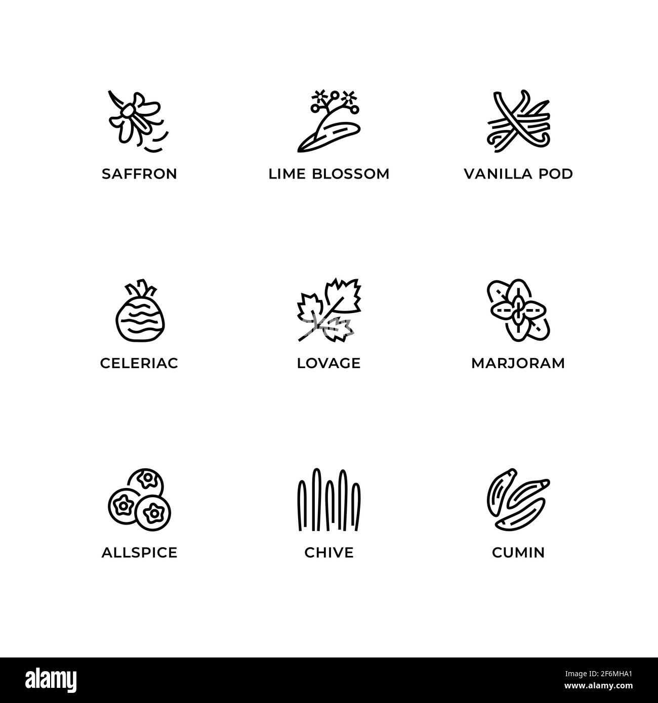 Vector set of design elements, logo design template, icons and badges for herbs and plants. Line icon set, editable stroke. Stock Vector