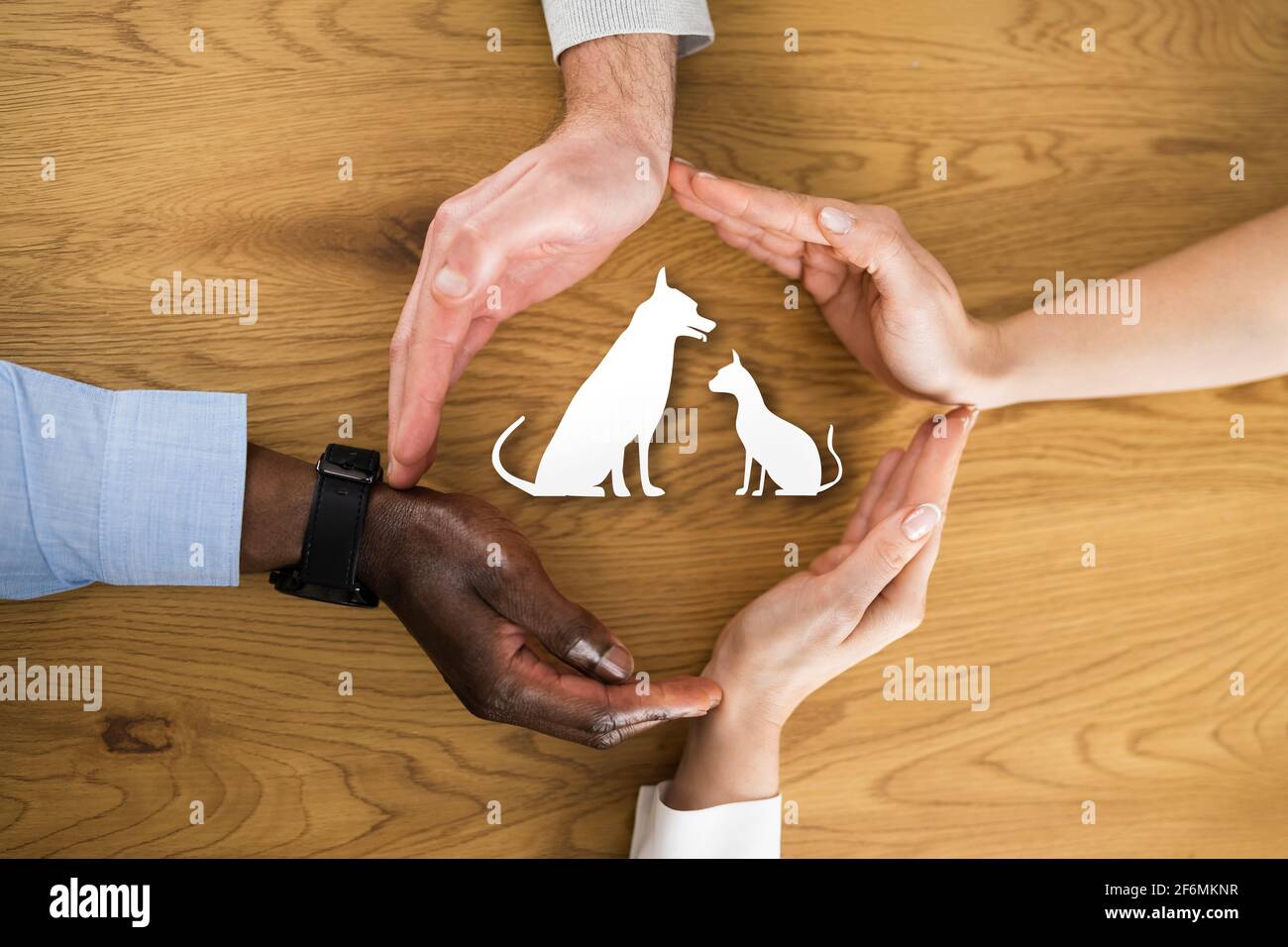 Dog And Cat Pet Liability And Health Care Coverage Stock Photo