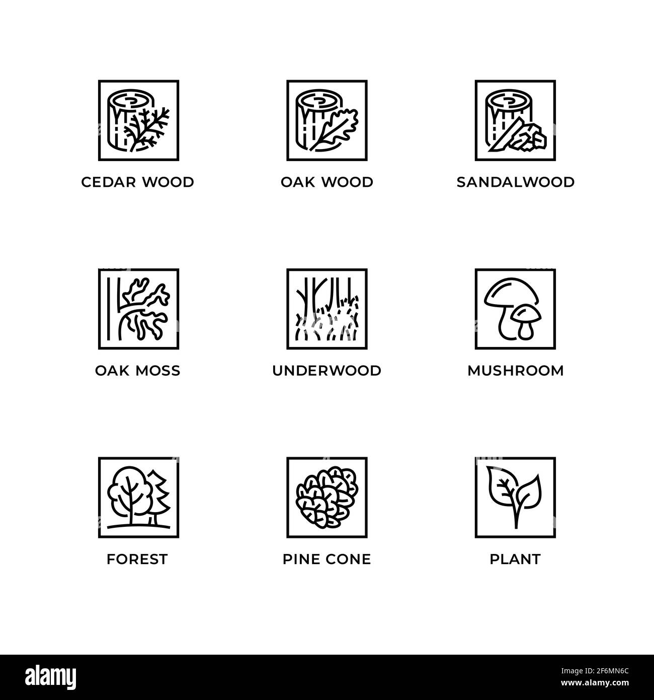 Vector set of design elements, logo design template, icons and badges for forest. Line icon set, editable stroke. Stock Vector