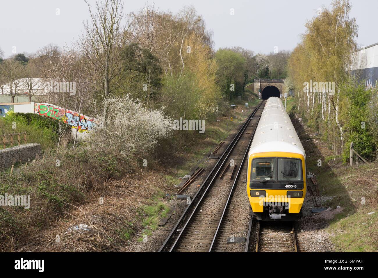 south-eastern railway train travelling out of tunnel into open flanked by floral spring sunshine outside Lewisham station London England Stock Photo