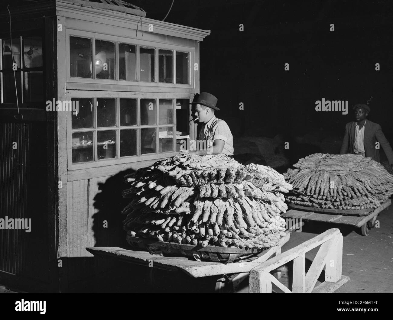 Weighing in tobacco on scales in warehouse in Danville, Virginia, where