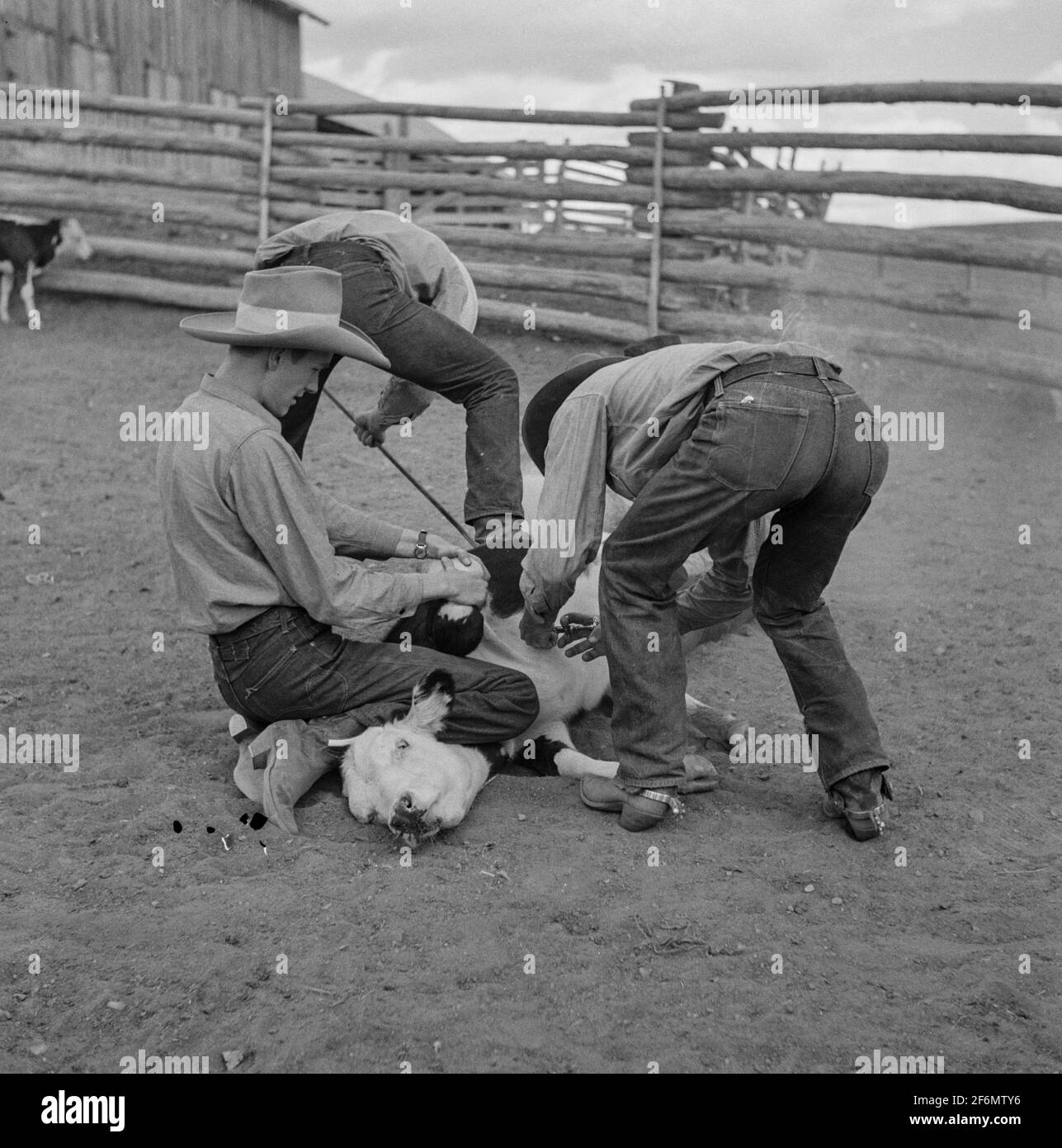 Brewster company hires stock photography and images Alamy