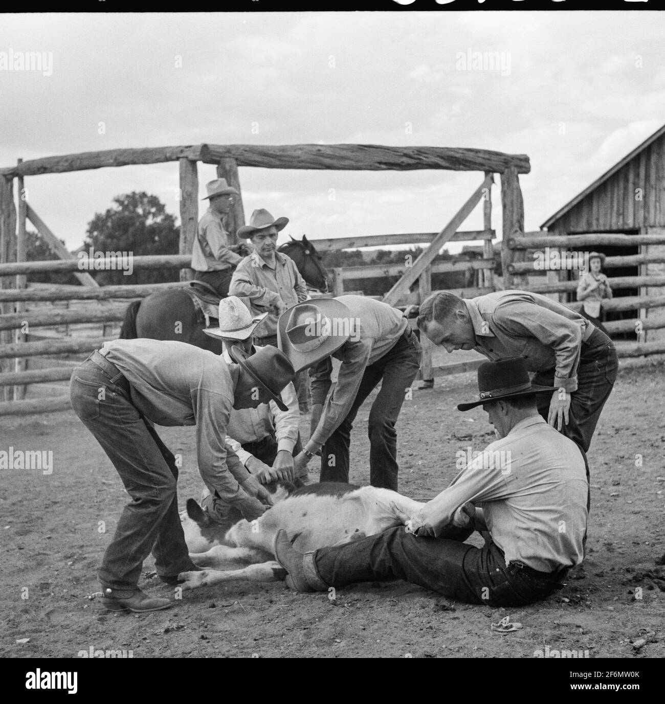 Brewster company hires stock photography and images Alamy