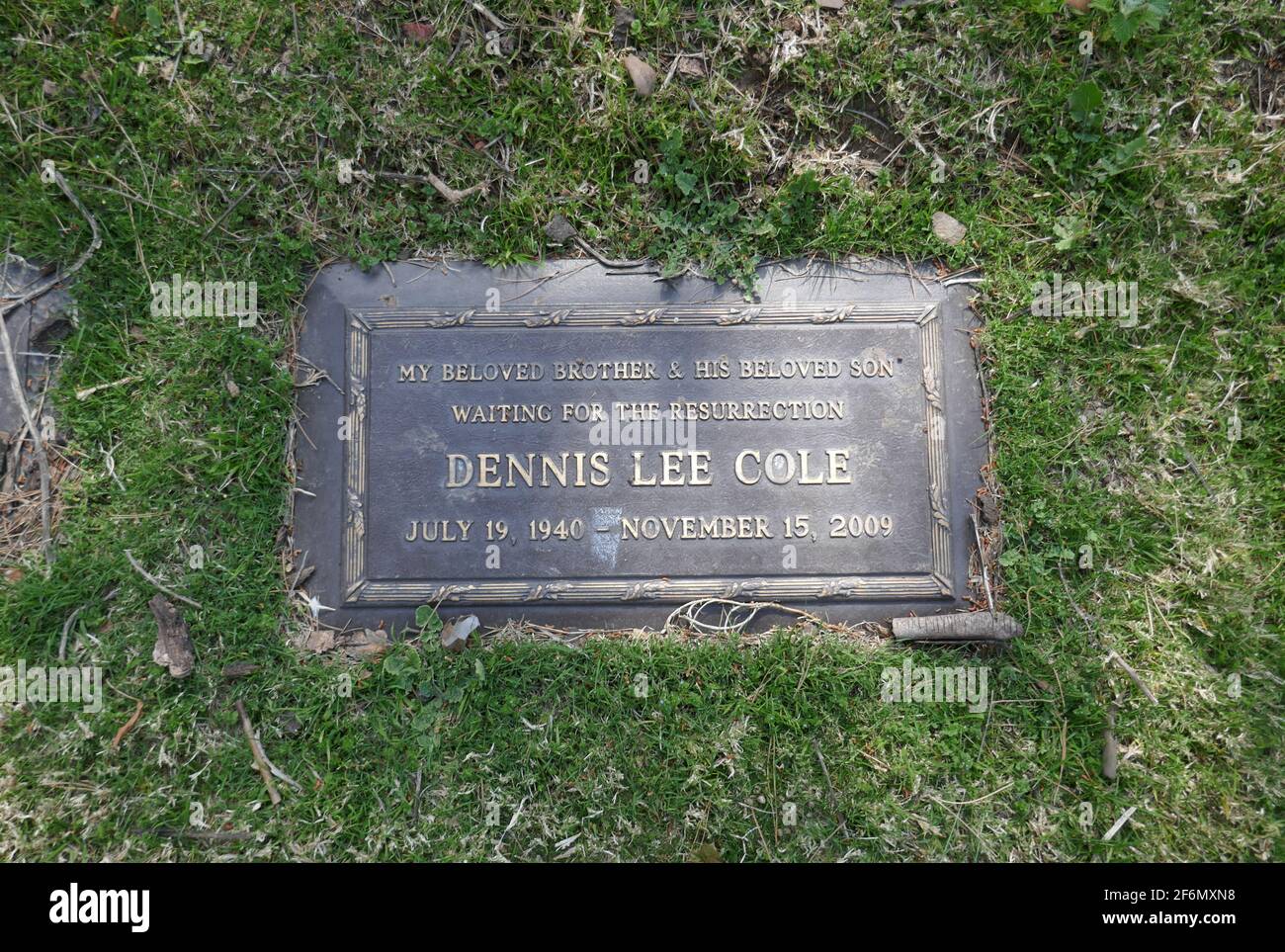 Los Angeles, California, USA 30th March 2021 A general view of atmosphere of actor Dennis Cole's Grave at Forest Lawn Memorial Park Hollywood Hills on March 30, 2021 in Los Angeles, California, USA. Photo by Barry King/Alamy Stock Photo Stock Photo