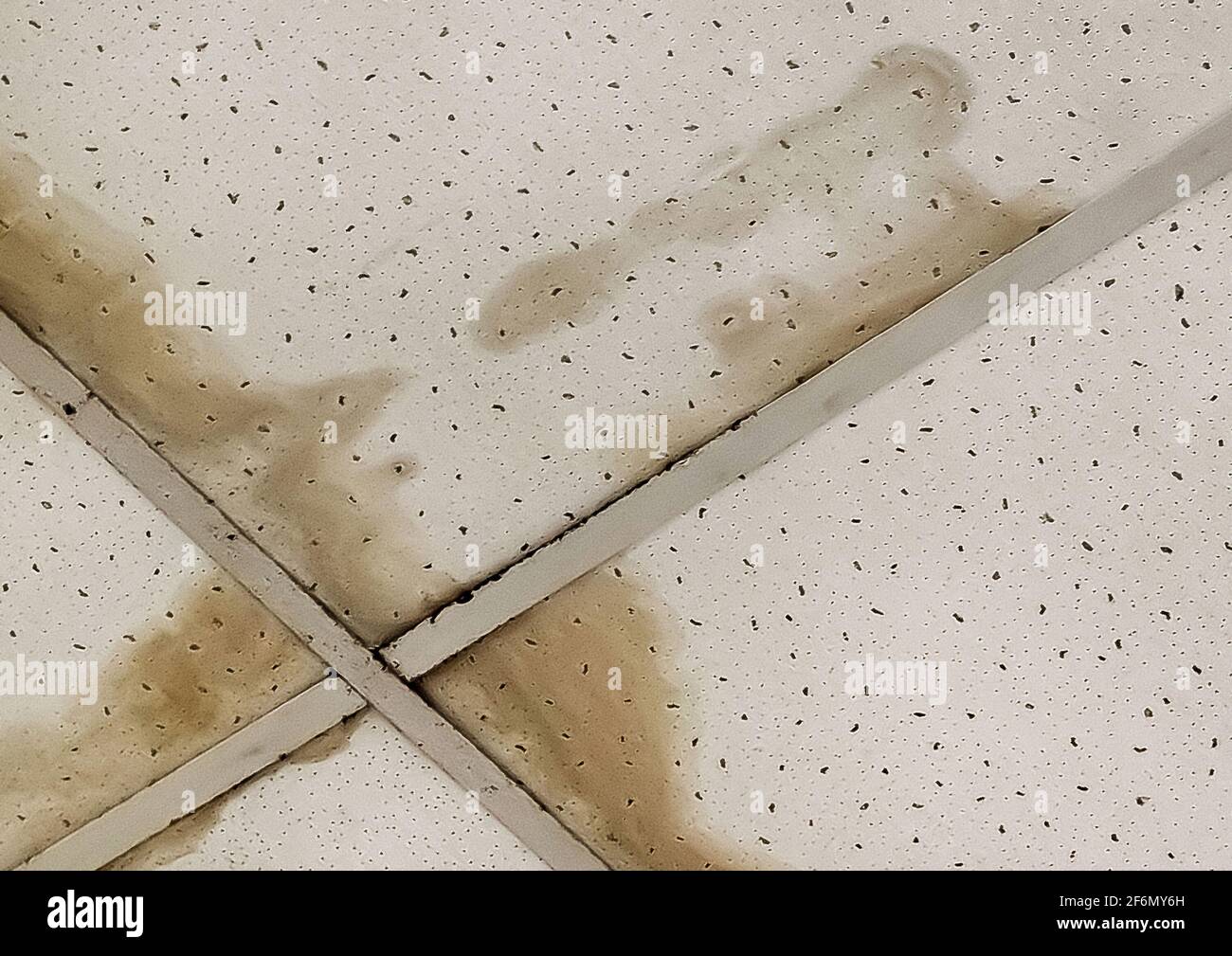 Leaking ceiling, old dirty water on the roof or flooding of neighbors