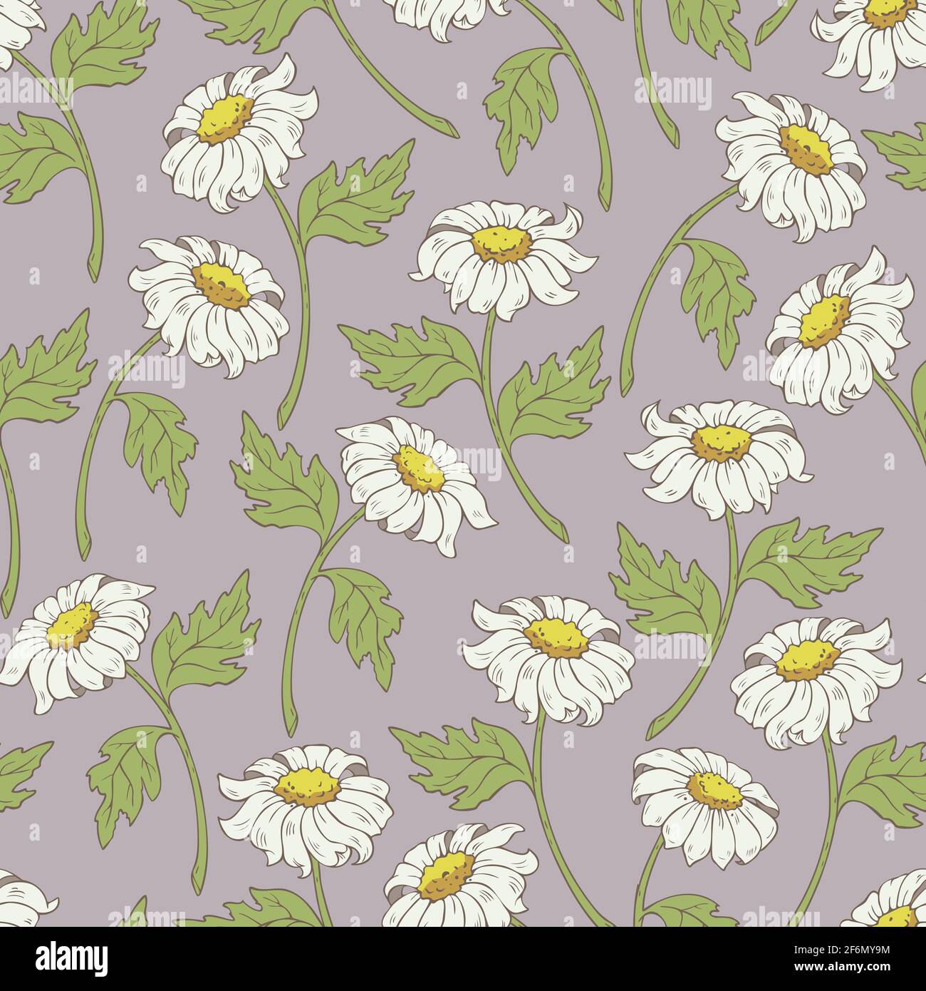 Vector seamless pattern with chamomiles. Vector flowers design. Stock Vector