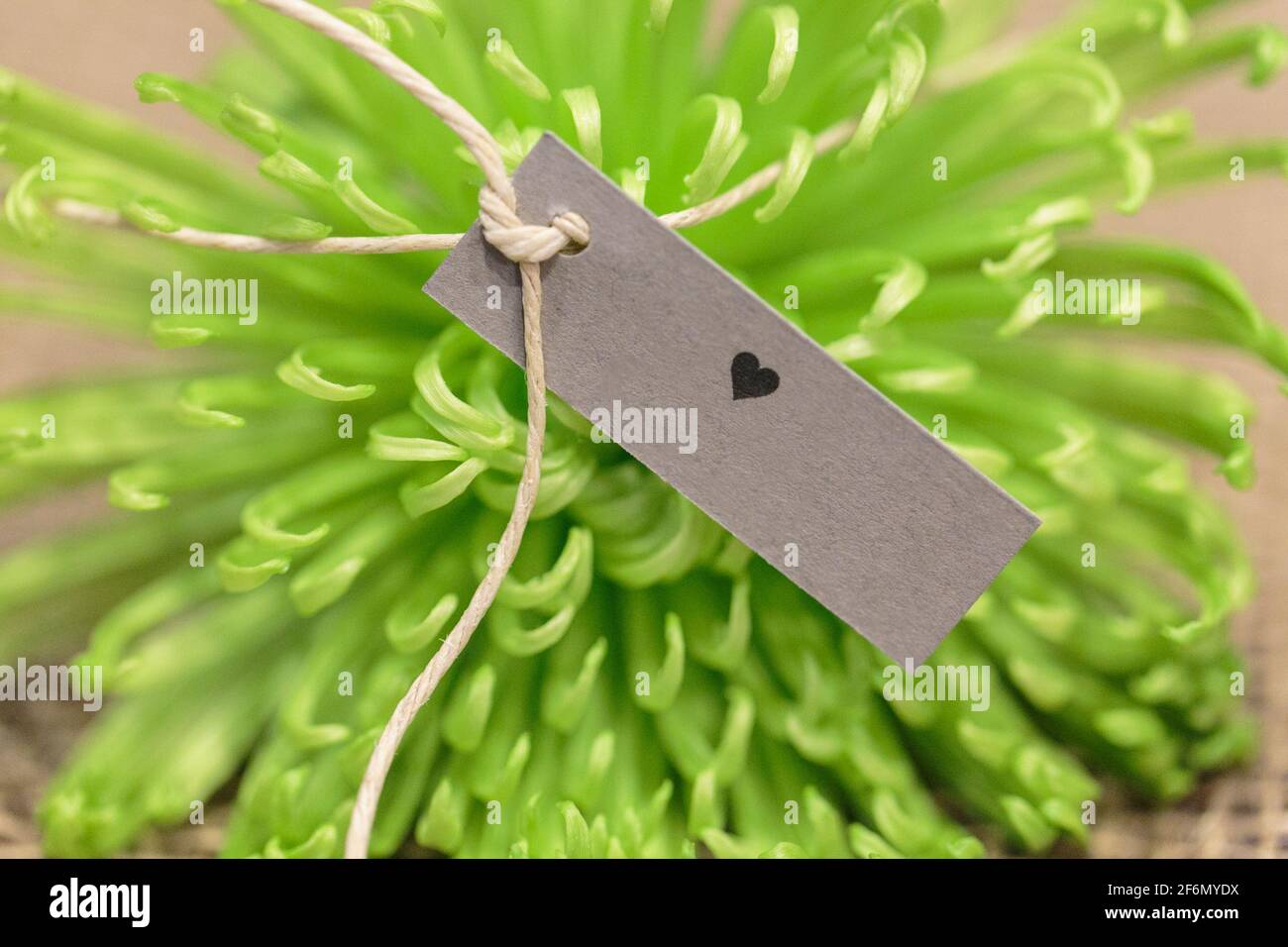 Green flower with name tag made for a wedding reception Stock Photo Alamy