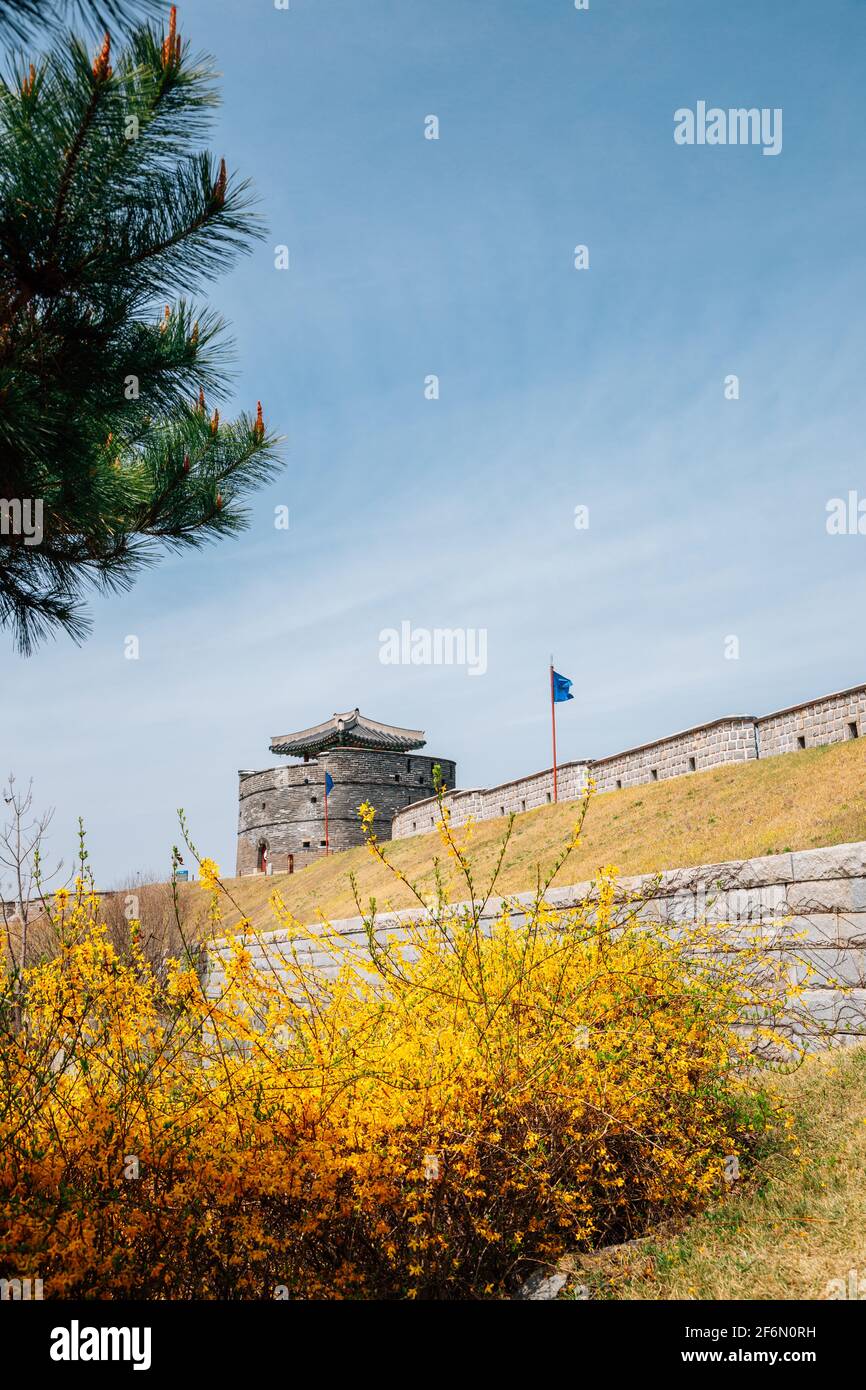 Suwon fortress blue flag hi-res stock photography and images - Alamy