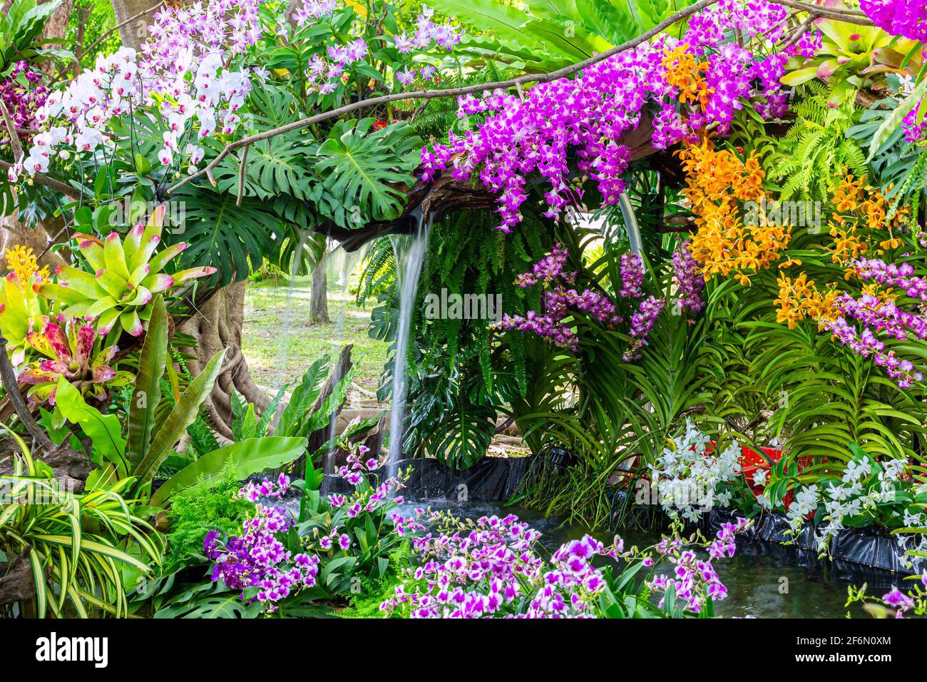 Waterfall in garden,Orchid garden. Beautiful flower garden. beautiful garden. Stock Photo