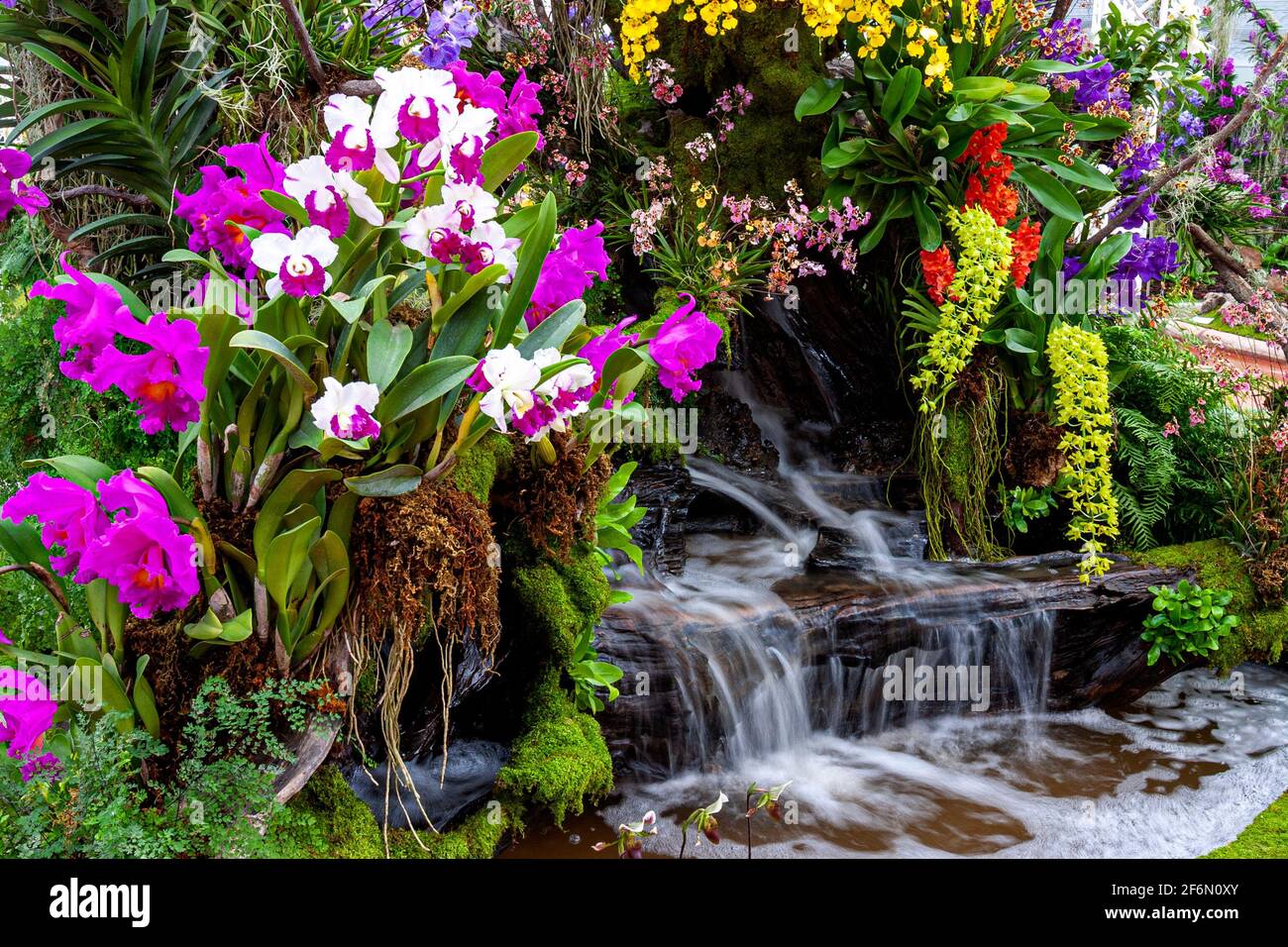 Waterfall in garden,Orchid garden. Beautiful flower garden. beautiful