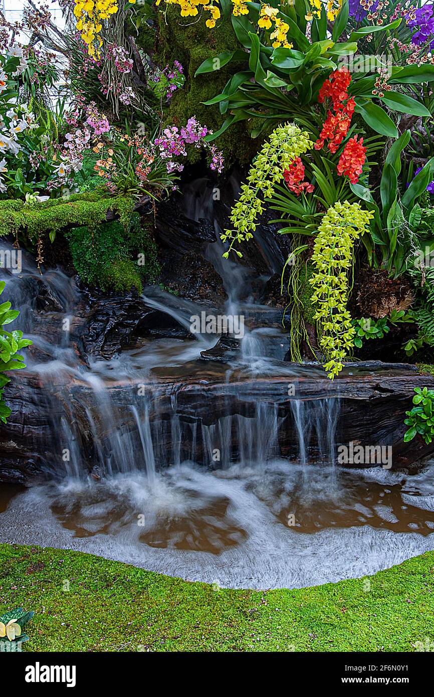 Waterfall in garden,Orchid garden. Beautiful flower garden ...