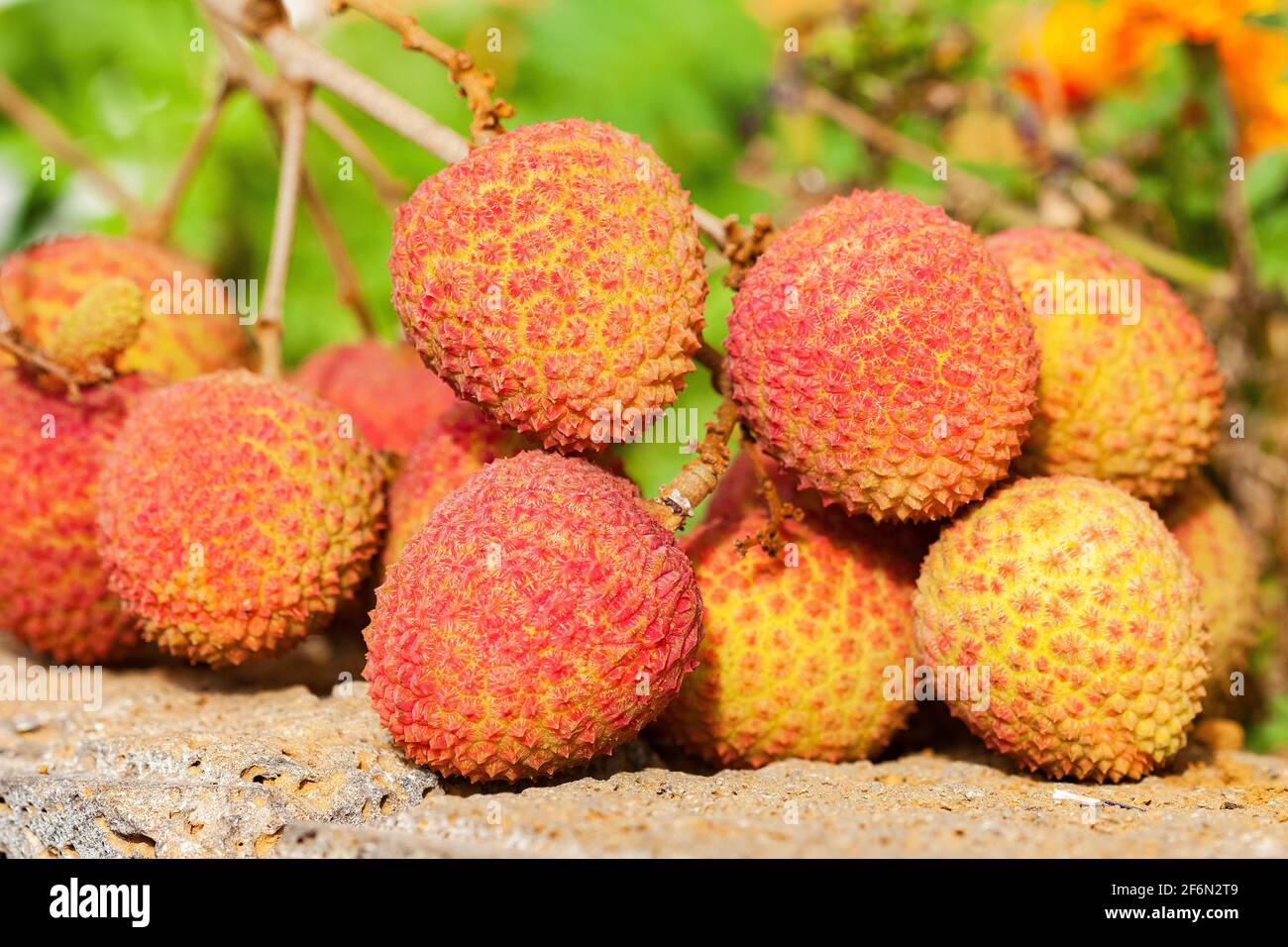 Fleshy fruits hires stock photography and images Alamy
