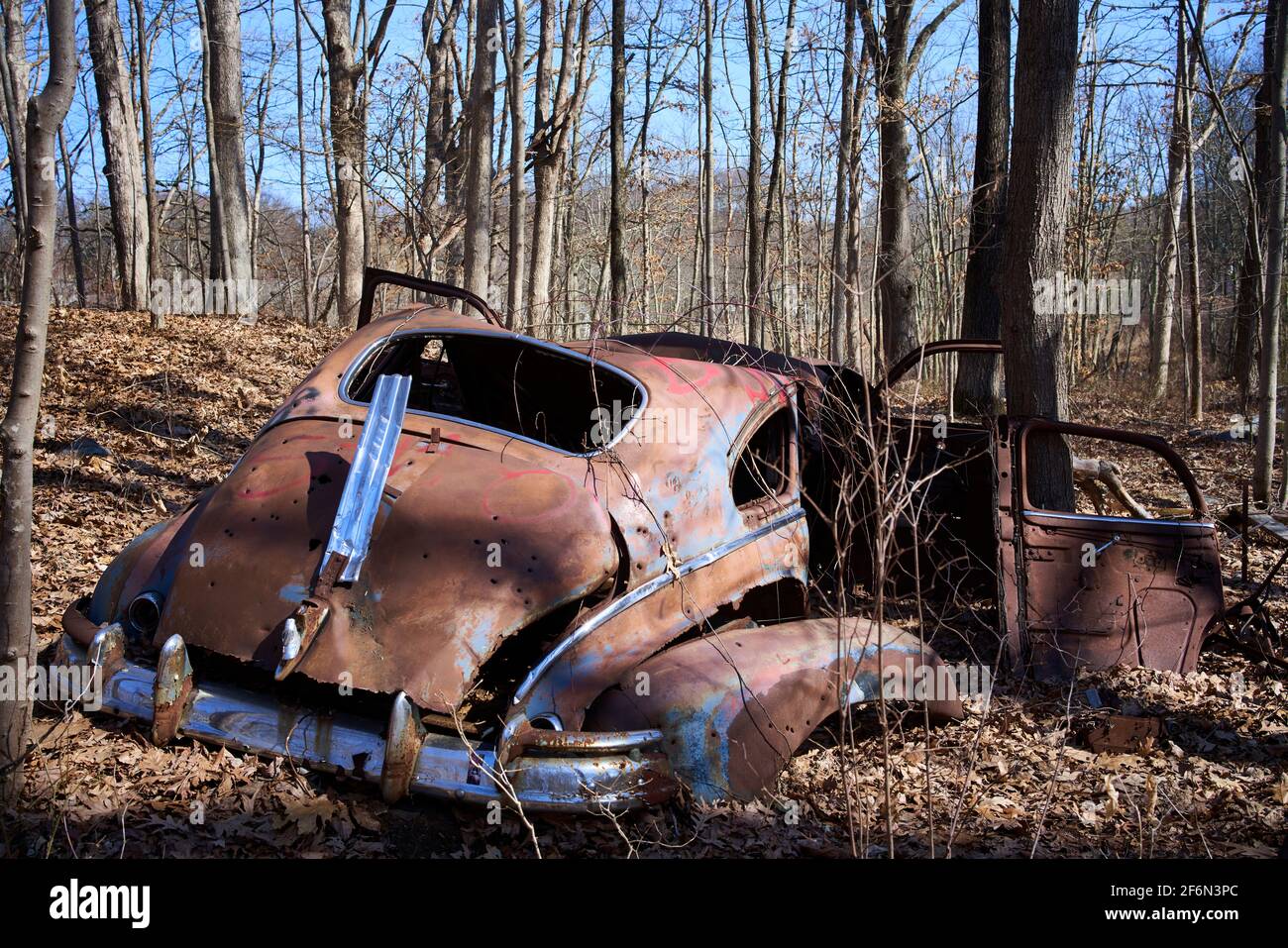 Oldtimer American car wreck abandoned and dumped in the woods. Stock Photo