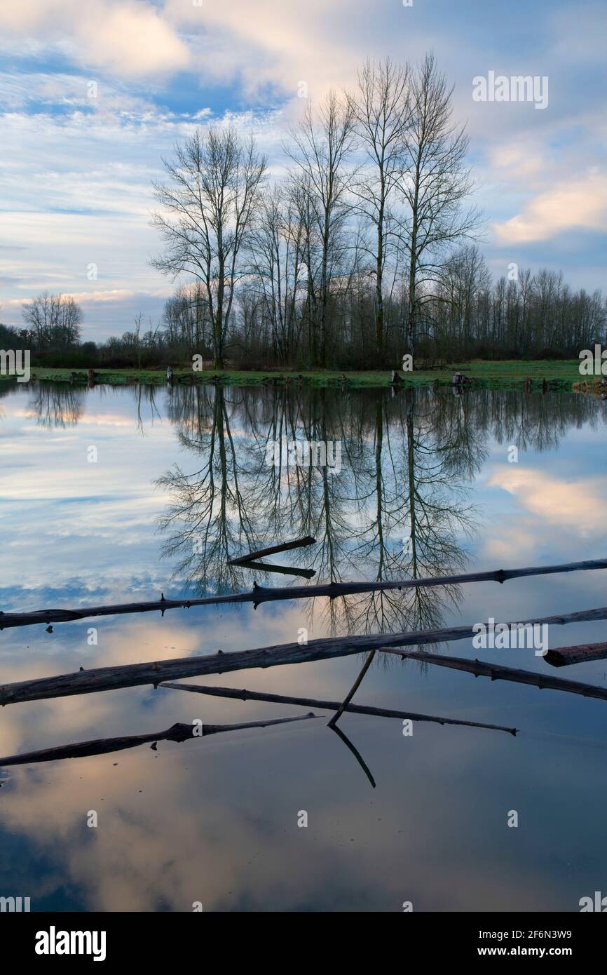 St Louis Ponds, St Louis Ponds Public Fishing Area, Oregon Stock Photo