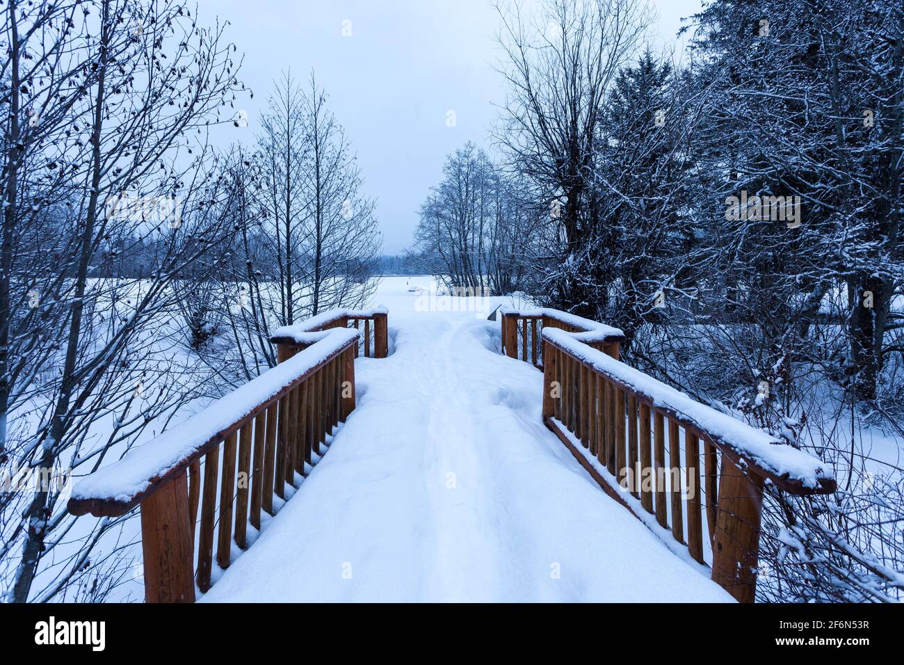 Snow covered wooden bridge in the woods in a forest. Stock Photo