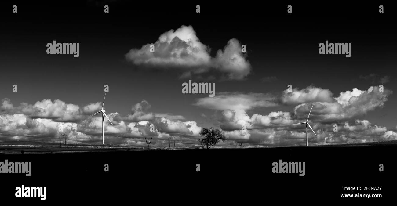 Windmills against the backdrop of a beautiful dramatic cloudy sky. Silhouettes of trees and metal structures on black and white image Stock Photo