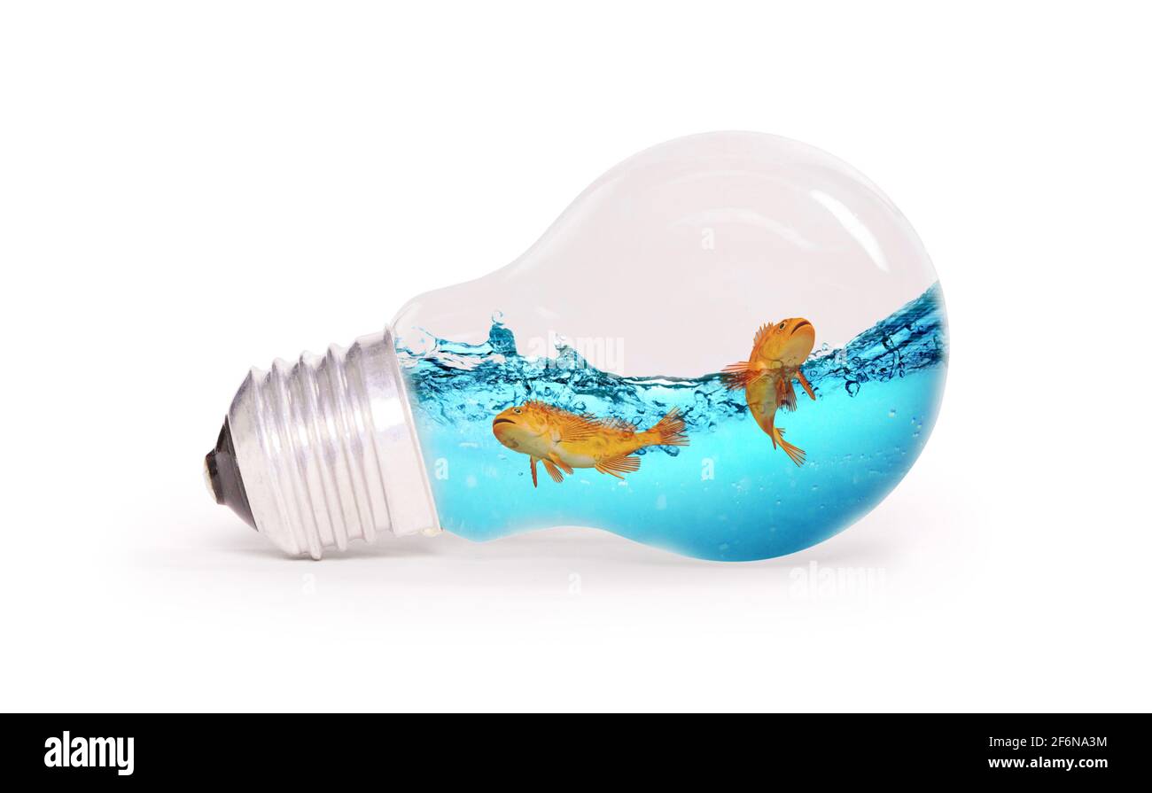 Lightbulb with water and fish inside, isolated on white Stock Photo - Alamy