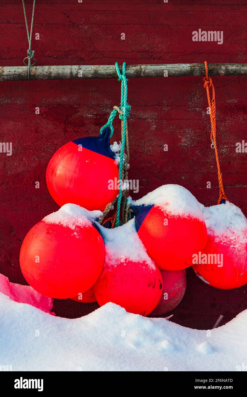 Red inflatable buoy boat hanging Stock Photo Alamy
