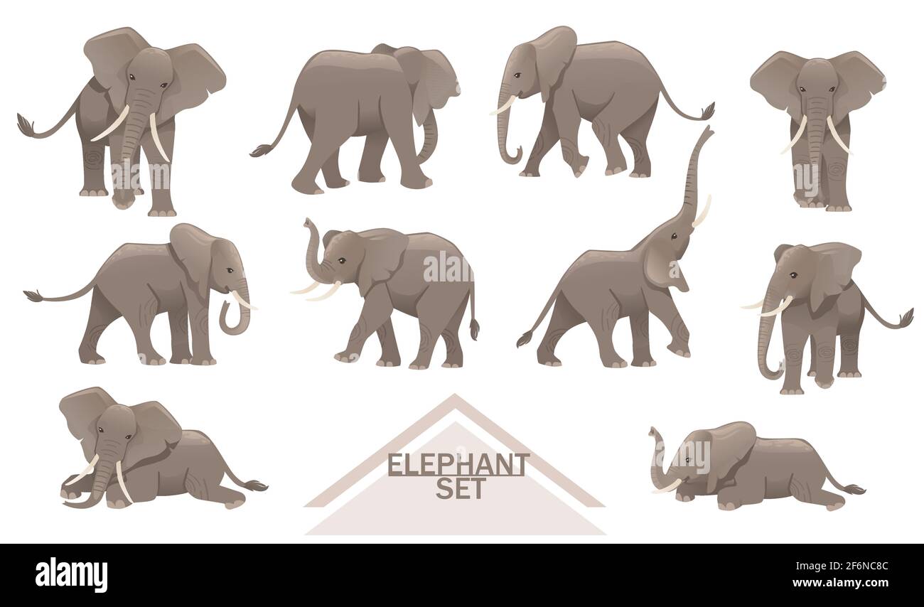 African Elephant Cartoon