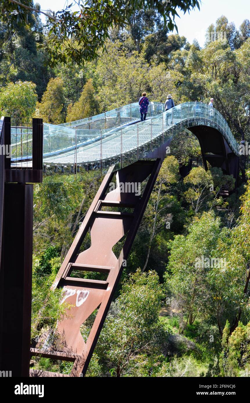 Walkway Glass Bridge Western Australia Botanic Garden Hi Res Stock Photography And Images Alamy