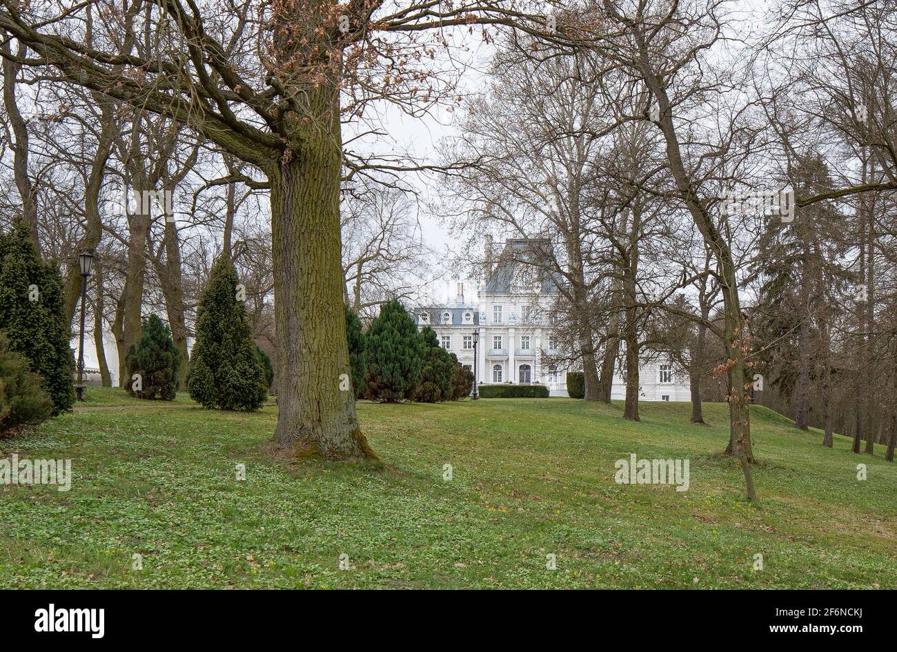 Palace and park in Zakrzewo, Wielkopolska province. Winter landscape, early spring. Stock Photo