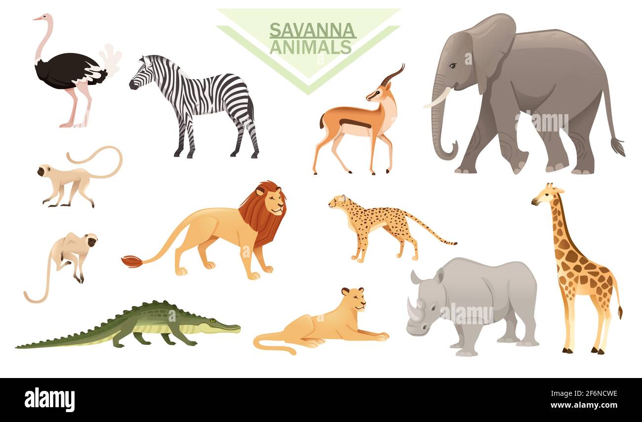 Set of african animals savanna and african beast cartoon animal design vector illustration on white background. Stock Vector
