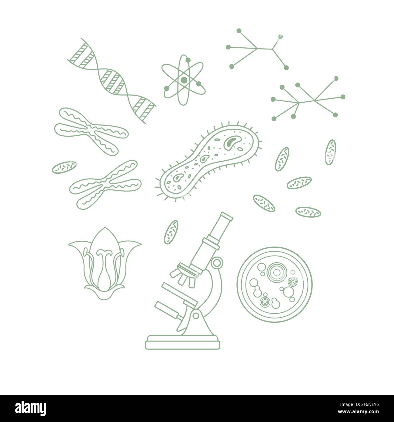 Outline style Biology science courses online education concept or
