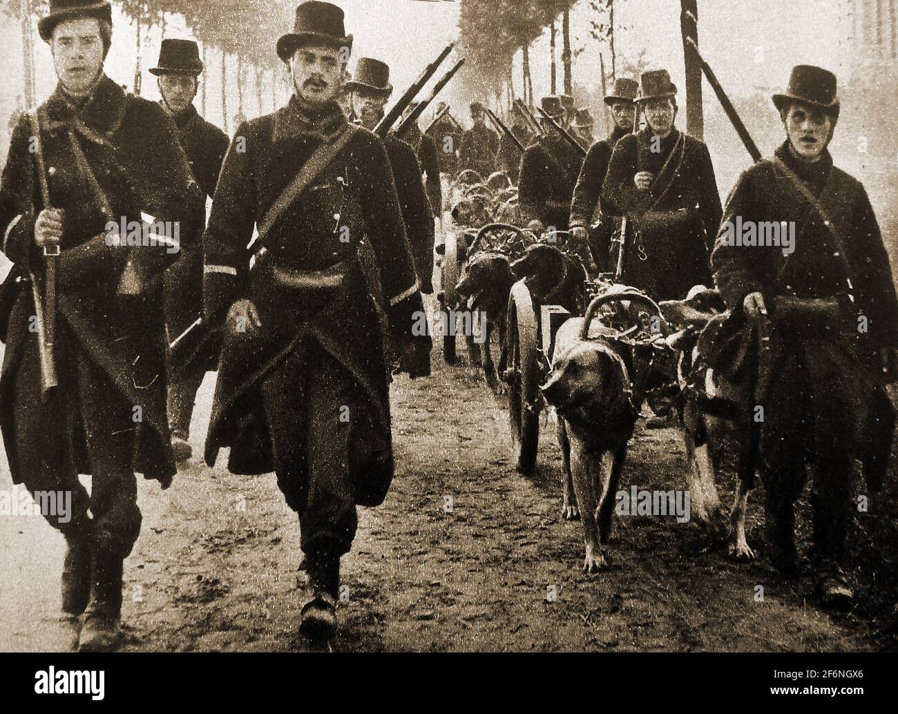 WWI - Dog carts of the Belgian army carrying machine guns. Stock Photo