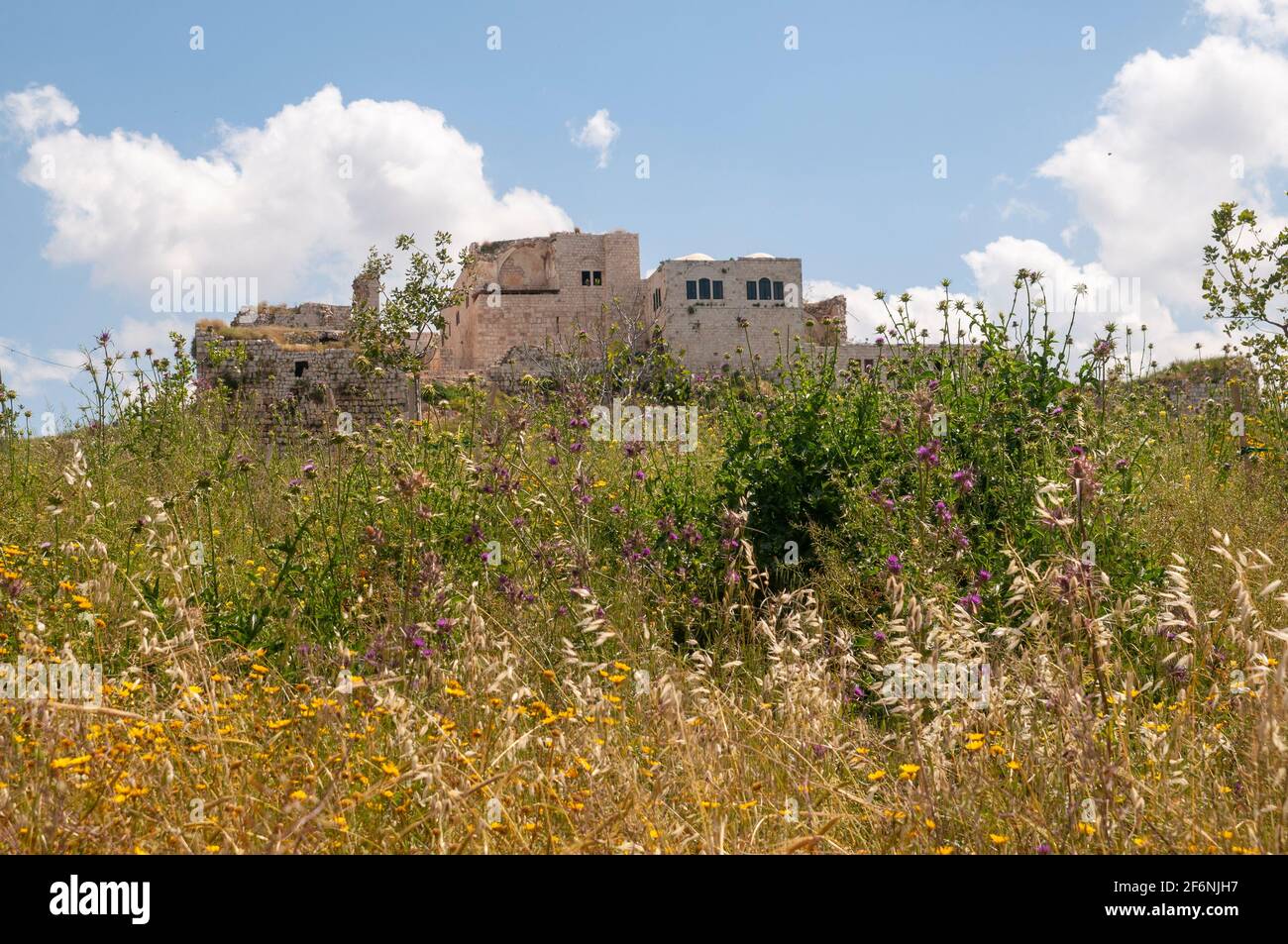 Migdal Afek also Migdal Tsedek is a national park on the southeastern edge of Rosh HaAyin, Israel. Ruins of Mirabel, a Crusader castle, built on the s Stock Photo