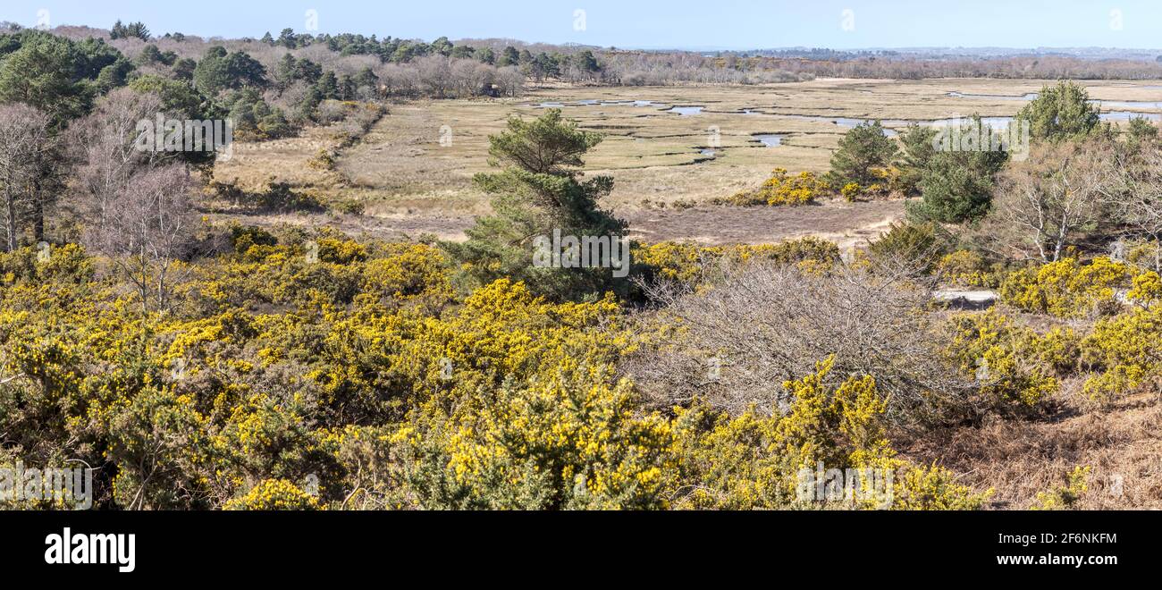 Arne landscape hi-res stock photography and images - Alamy